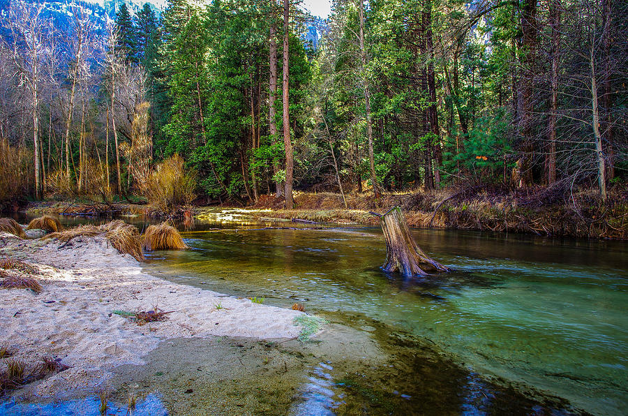 Yosemite National Park Photograph - Merced River Yosemite National Park #1 by Scott McGuire