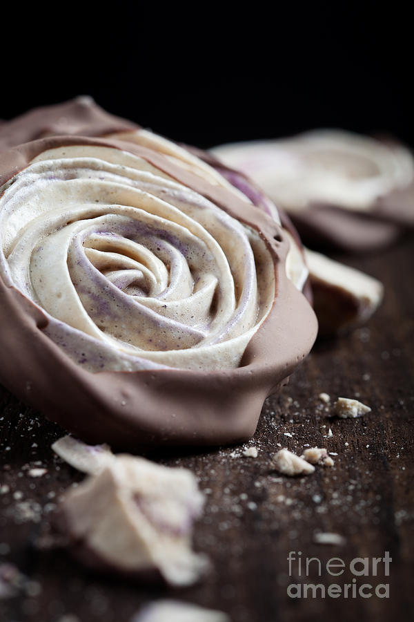 Meringue rose #1 Photograph by Kati Finell