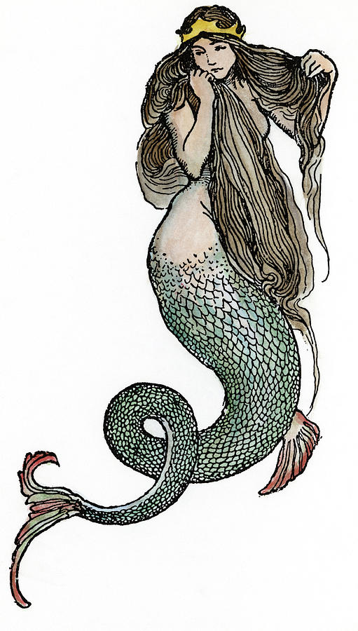 Mermaid, C1890 #1 Drawing by Granger
