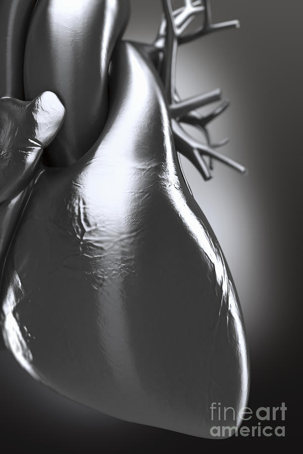 Metal Heart #1 Photograph by Science Picture Co