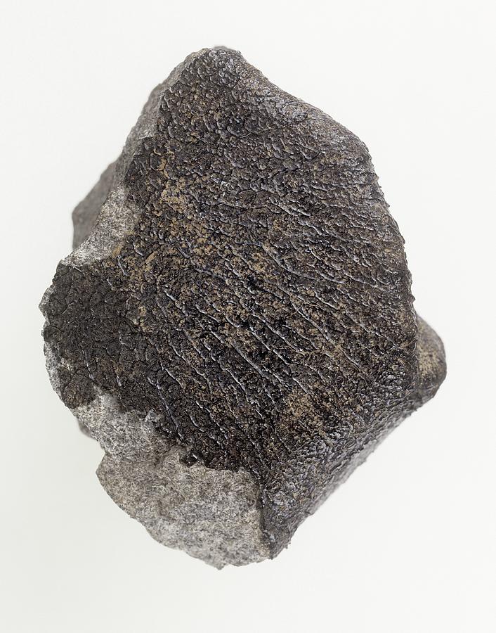Fusion Crust Photograph - Meteorite #1 by Natural History Museum, London/science Photo Library