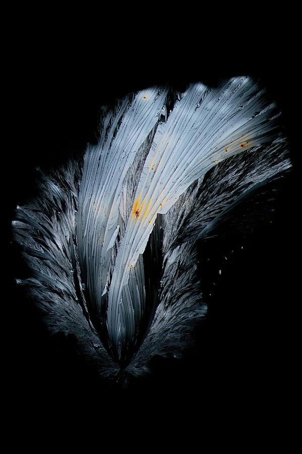 Metformin Drug Crystals #1 Photograph by Antonio Romero