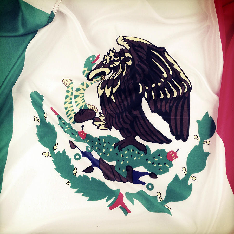 Mexican flag #1 Photograph by Les Cunliffe