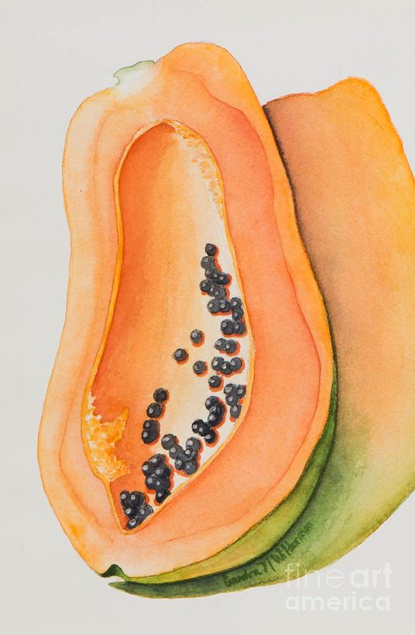 Mexican Papaya Painting by Sandra Neumann Wilderman