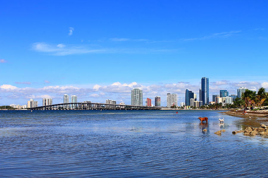 Miami: Visit to the Lighthouse - Key Biscayne - Brickell in Miami