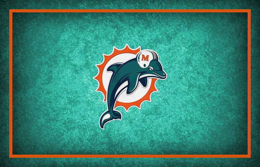 Miami Dolphins Photograph by Joe Hamilton - Fine Art America