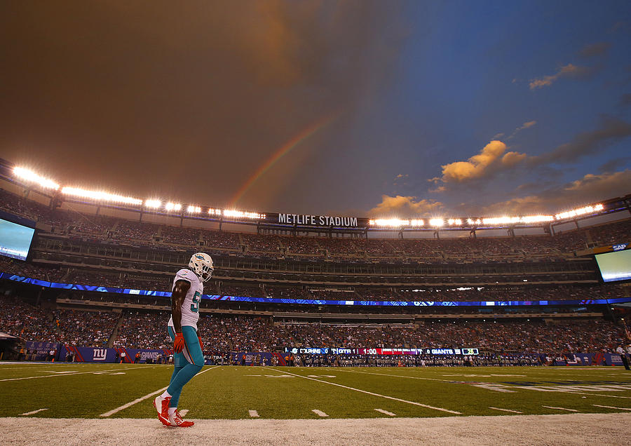 Miami Dolphins v New York Giants #1 Photograph by Rich Schultz