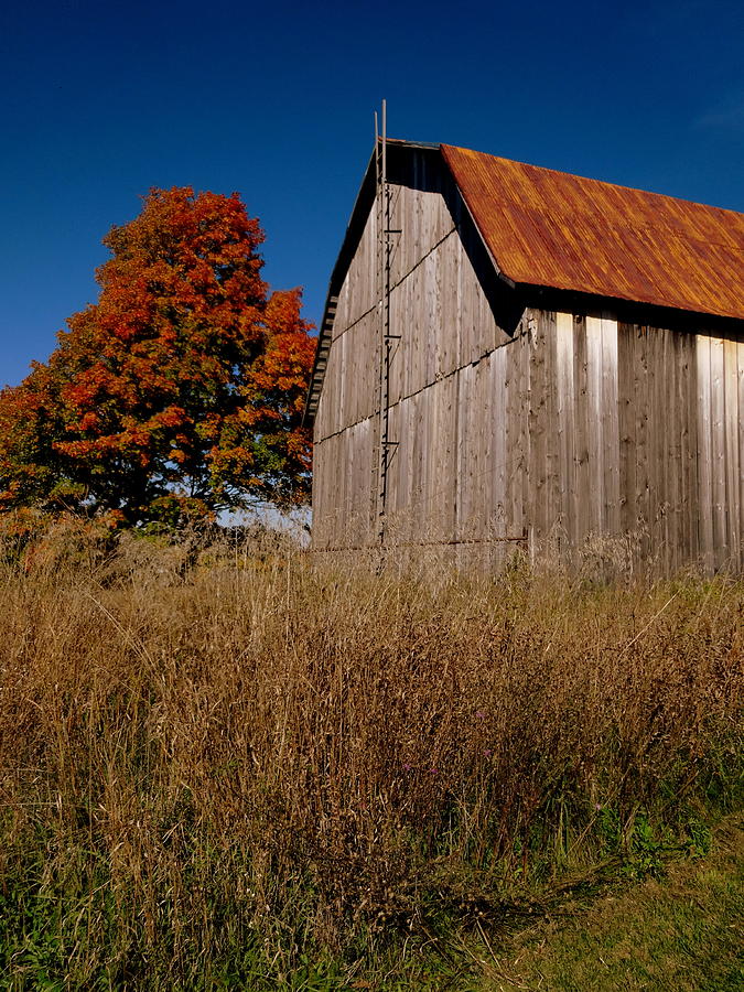 Michigan Barn #1 Photograph by Kathleen Luther