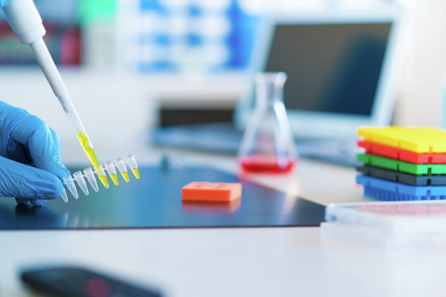 Micropipette And Eppendorf Tubes Photograph by Wladimir Bulgar/science