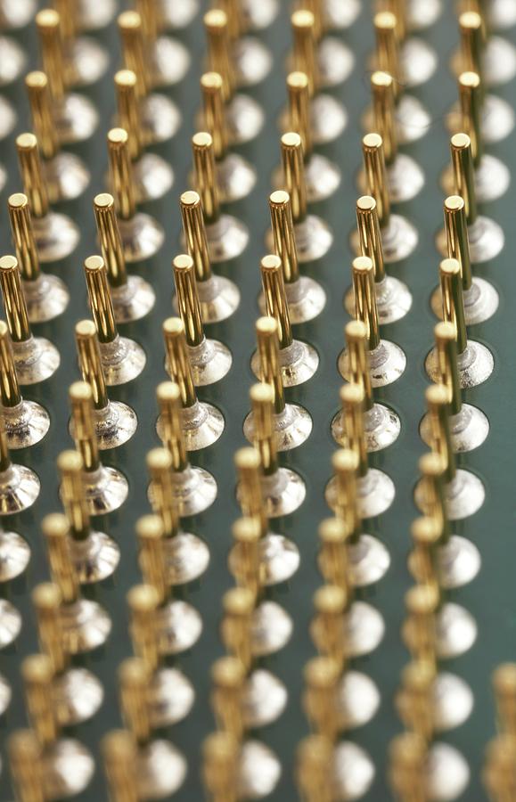 Device Photograph - Microprocessor Gold-plated Contact Pins #1 by Science Photo Library
