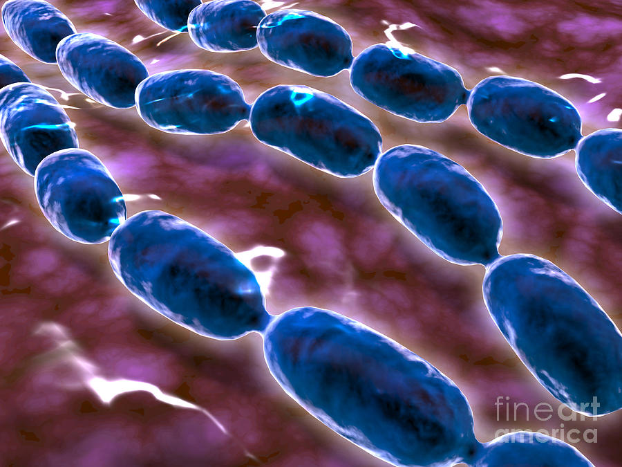 Microscopic View Of Bacterial Pneumonia #1 Digital Art by Stocktrek Images