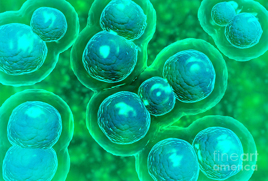 Abstract Digital Art - Microscopic View Of Chlamydia #1 by Stocktrek Images