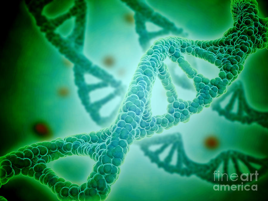 Microscopic View Of Dna #1 Digital Art by Stocktrek Images