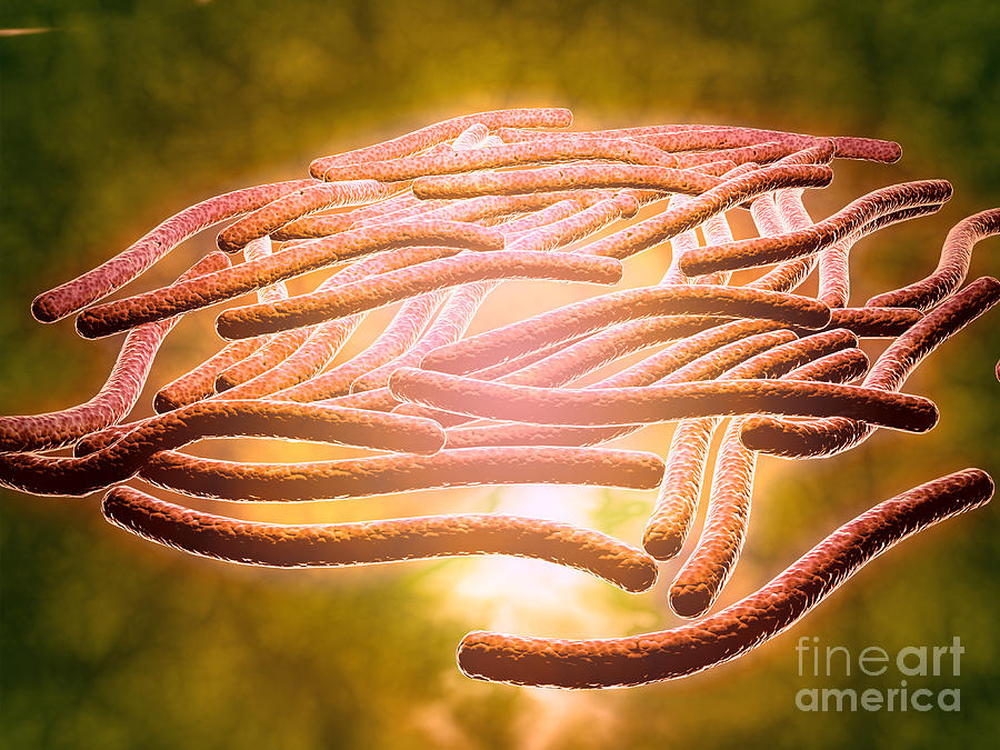 Abstract Digital Art - Microscopic View Of Legionella #1 by Stocktrek Images