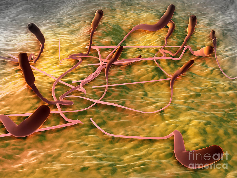 Microscopic View Of Sperm #1 Digital Art by Stocktrek Images