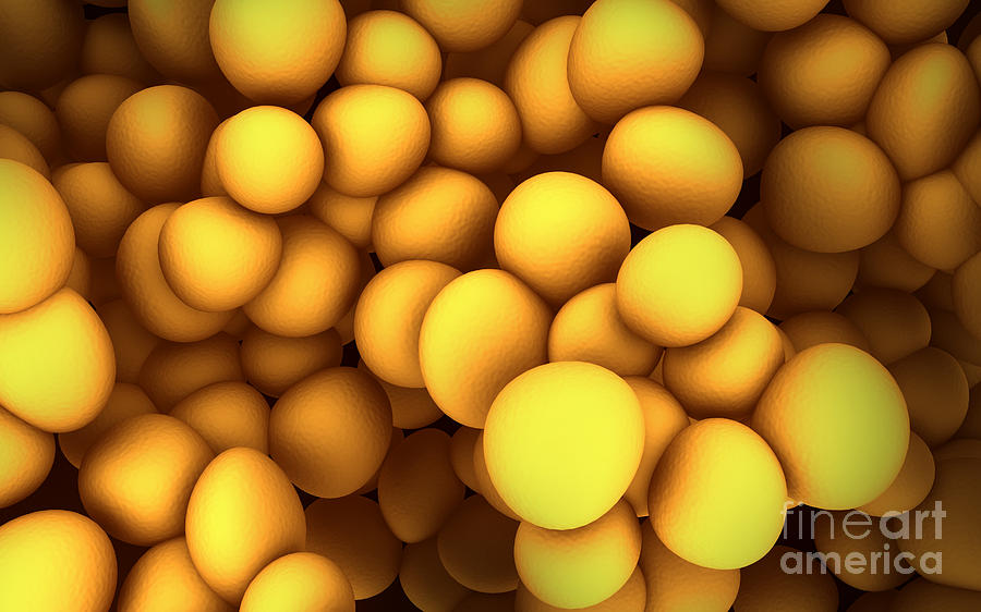 Microscopic View Of Staphylococcus #1 Digital Art by Stocktrek Images