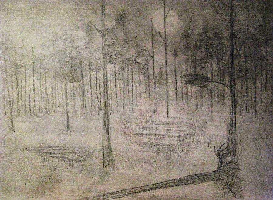 Landscape Drawing - Midnight Forrest #1 by Agata Suchocka-Wachowska