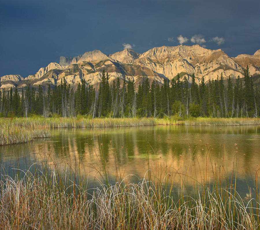 Miette Range And Talbot Lake Jasper Np #1 Photograph by Tim Fitzharris