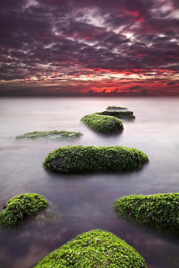 Mind and spirit #1 Photograph by Jorge Maia