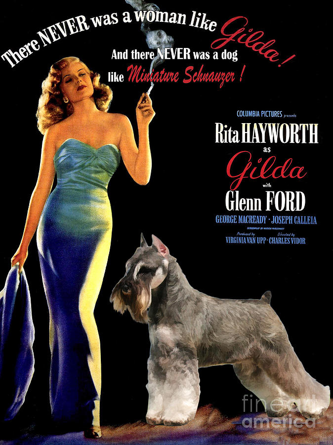 Miniature Schnauzer Art Canvas Print - Gilda Movie Poster #1 Painting by Sandra Sij