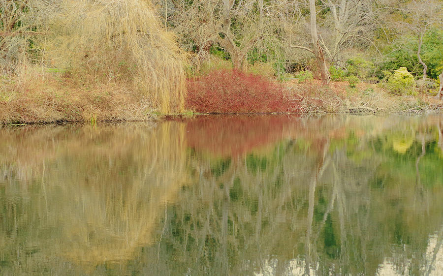 Landscape Reflection Photograph by Marilyn Wilson