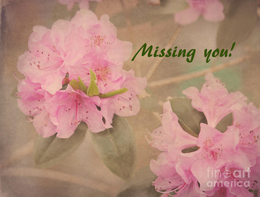 Missing You #2 Photograph by Arlene Carmel