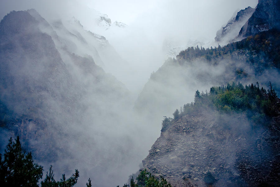 Landscape Photograph - Mist in mountain mystery forest #1 by Raimond Klavins