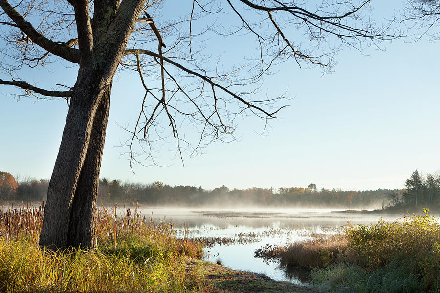 Mist Rising Over A Large Pond, Near #1 Photograph by Susan Dykstra / Design Pics