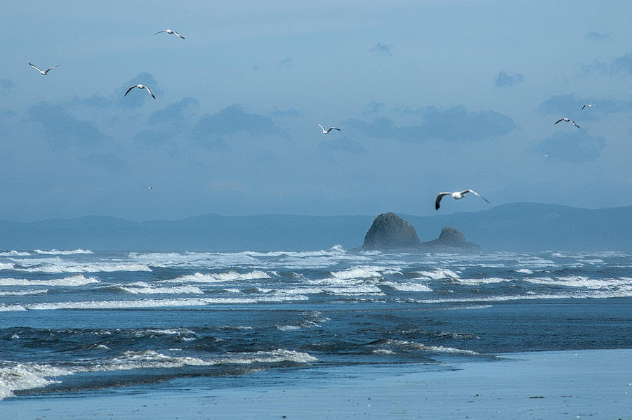 Misty Copalis Rock and Gulls Photograph by Allan Van Gasbeck
