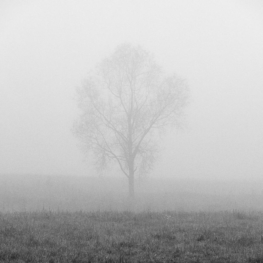 Misty field #1 Photograph by Jouko Lehto