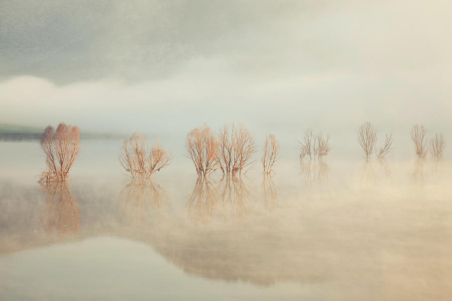 Misty Lake In Spring #1 Photograph by Temizyurek