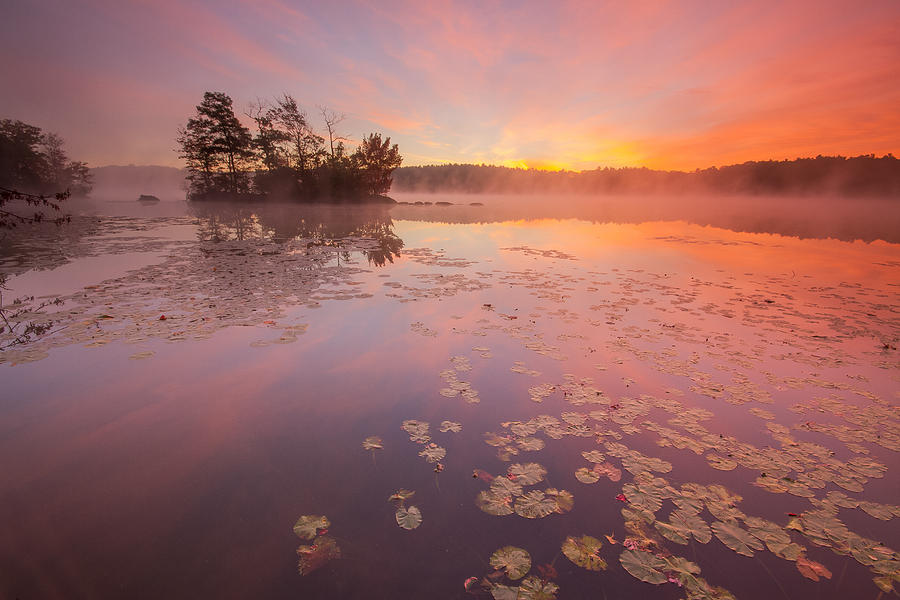 Misty Morning #1 Photograph by Bryan Bzdula Misty Morning #1 Photograph by Bryan Bzdula