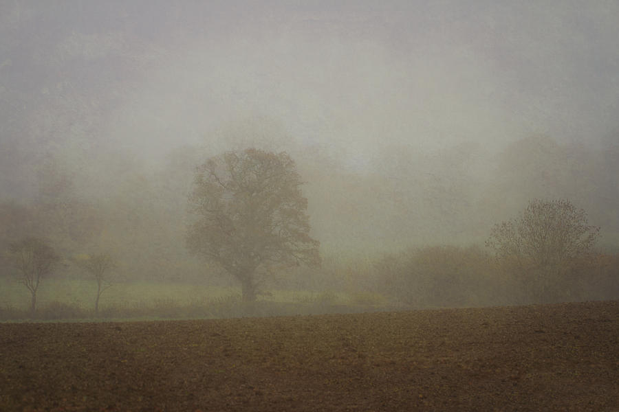 Misty  Morning. #1 Photograph by Clare Bambers