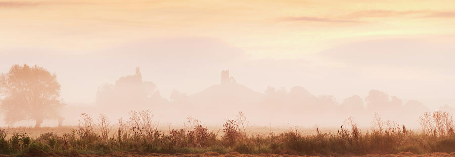 Misty Morning #1 Photograph by Jeremy Walker