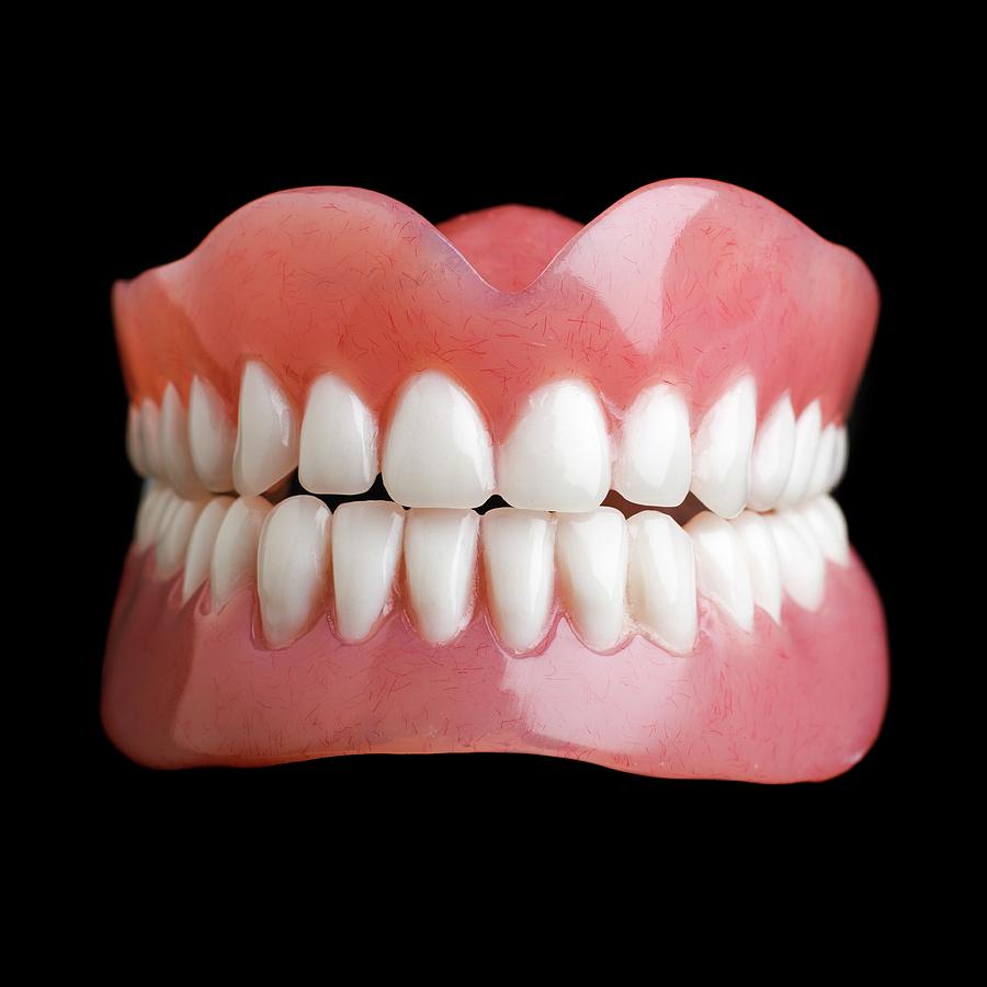 Close Up Photograph - Model Of Human Teeth #1 by Science Photo Library