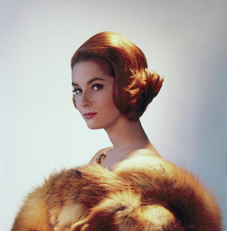 Model Wearing Fur Stole And Gold Brooch #1 Photograph by Horst P. Horst