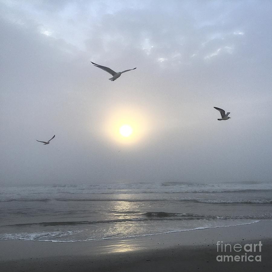 Moment of Grace by LeeAnn Kendall Moment of Grace by LeeAnn Kendall