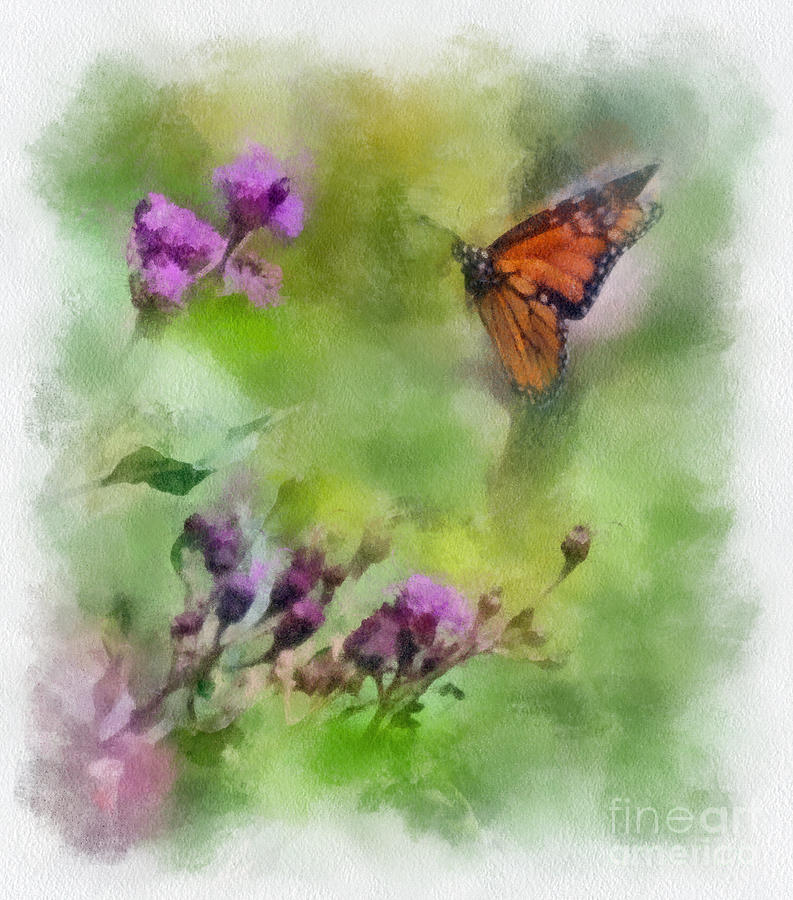 Monarch Butterfly  #2 Photograph by Kerri Farley