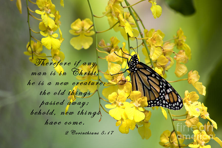 Monarch Butterfly with Scripture #1 Photograph by Jill Lang