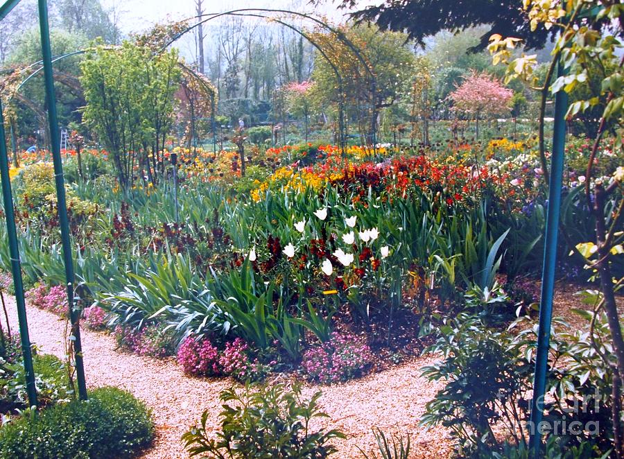 Monets garden at Giverny Photograph by Nancy Kane Chapman