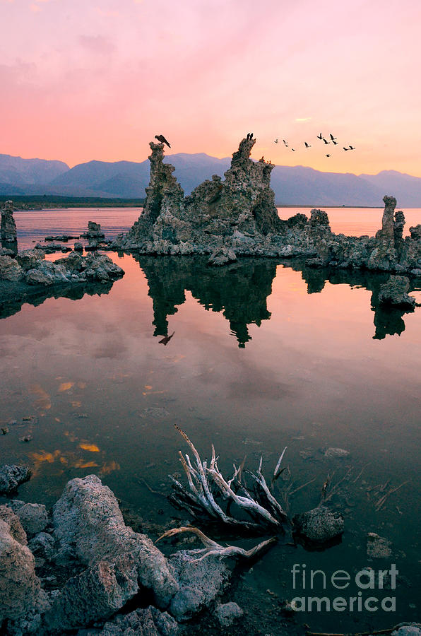 Mono Lake #1 Photograph by Jill Battaglia