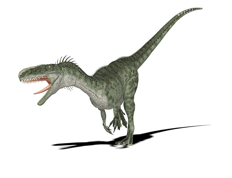 safari ltd monolophosaurus