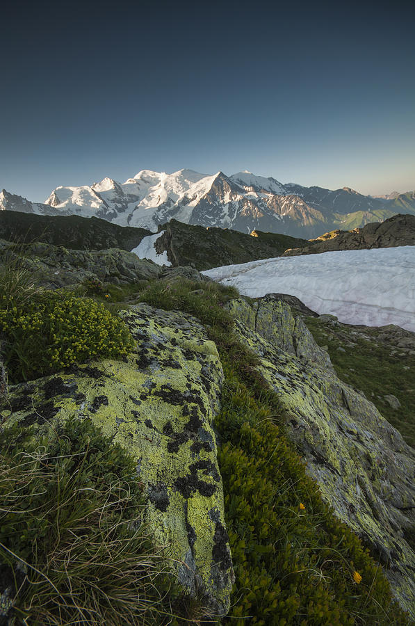 Mountain Photograph - Mont Blanc Morning light #1 by Nigel Forster