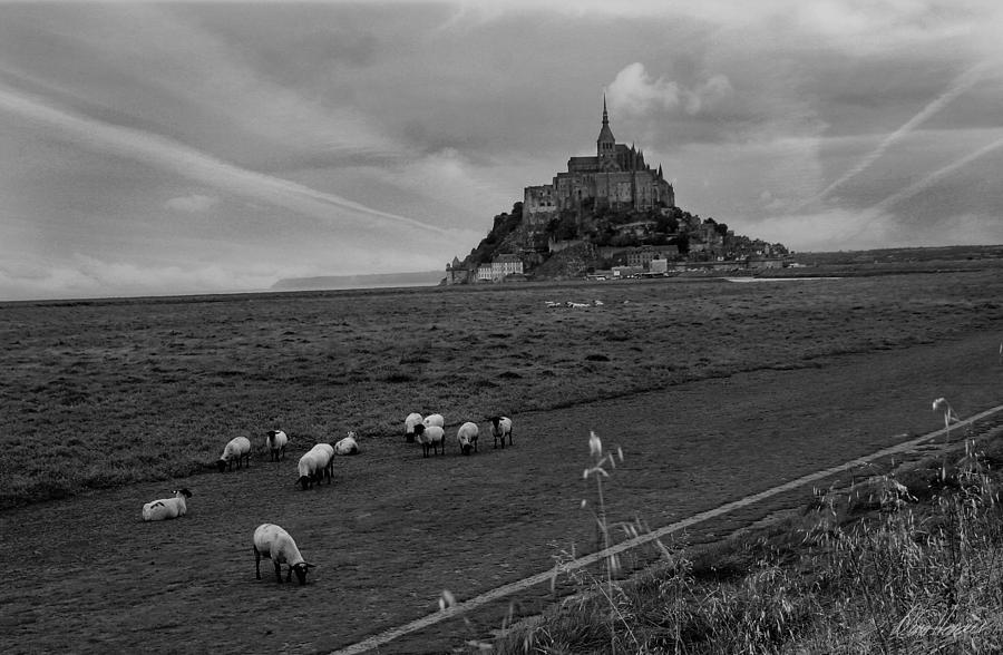 Mont Saint Michel #1 Photograph by Diana Haronis
