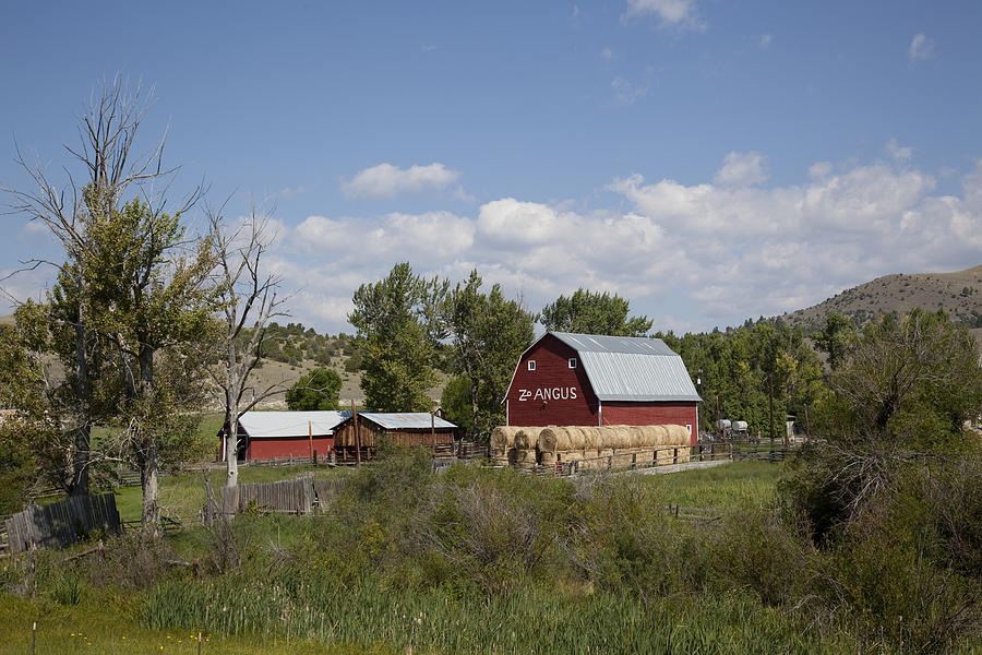 Montana Farm #1 Photograph By Mountain Dreams - Pixels