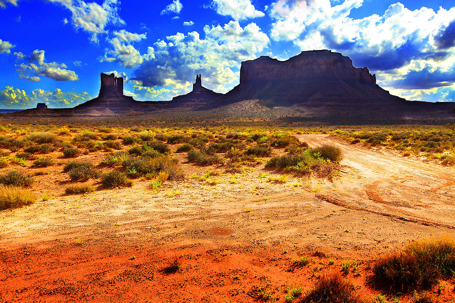 Monument Valley Utah USA #10 Photograph by Richard Wiggins
