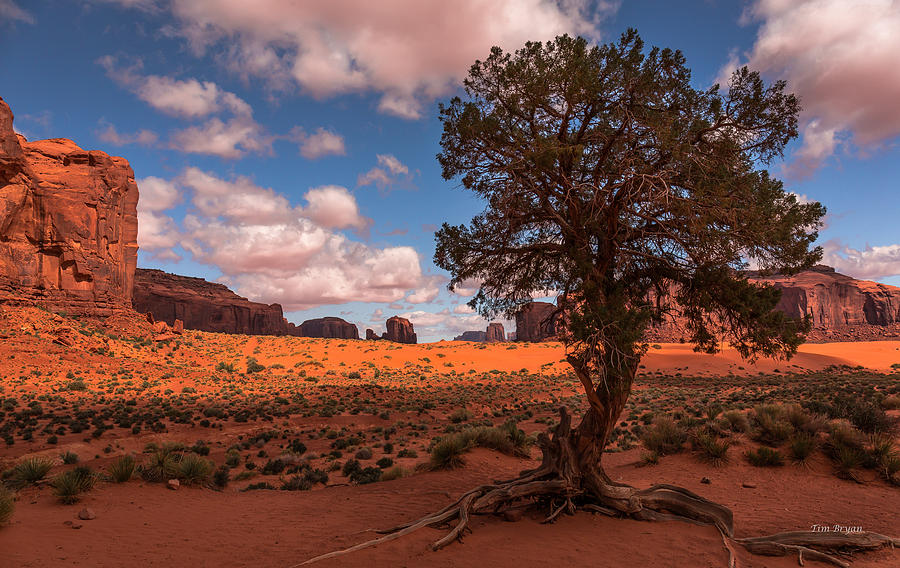 Landscape Photograph - Monument Valley Morning #1 by Tim Bryan