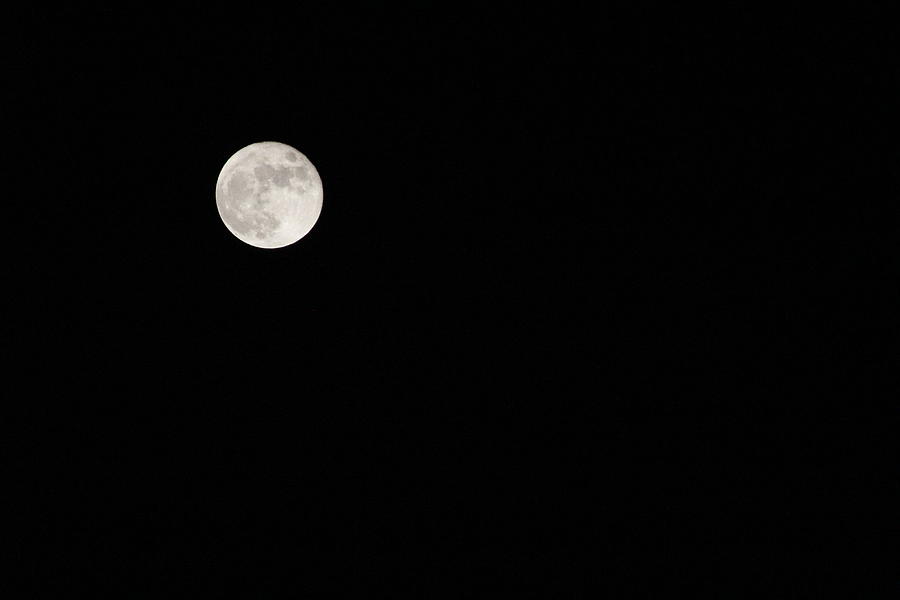 Moon Photograph - Moon #1 by Alireza Sh
