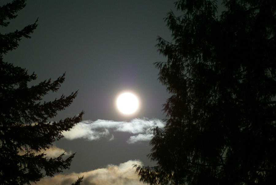 Moon Photograph - Moon #1 by Brian Liga