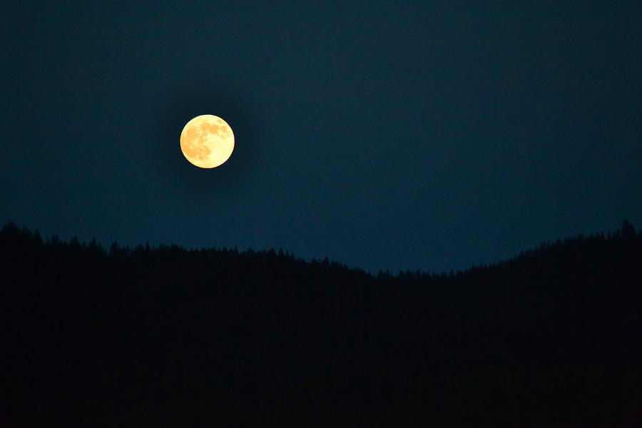 Moon Over Idaho Photograph by Sarah Pecinovsky - Fine Art America